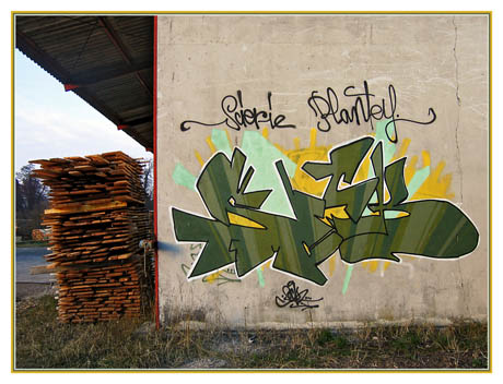 BLOG-IMG_7446-Tag scierie Plantey