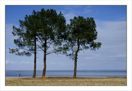 CP-DSC_4765-3 pins & lac [%P]