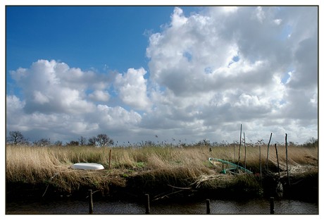 CP-DSC_5069-barques dans roseaux REC