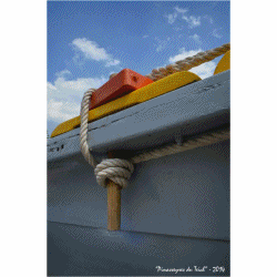 anigif 1ère régate pinassottes Arès 14 Juin 2014