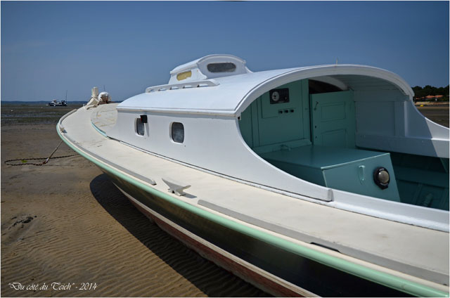 BLOG-DSC_28482-pinasse AmphitriteTaussat