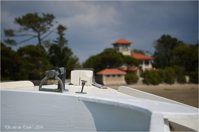 BLOG-DSC_28487-pinasse Amphitrite et villa la Tosca Taussat