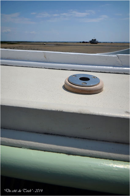 BLOG-DSC_28491-pinasse AmphitriteTaussat