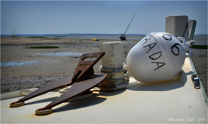 BLOG-DSC_28494-pinasse AmphitriteTaussat