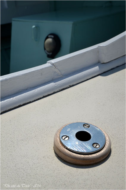 BLOG-DSC_28495-pinasse Amphitrite