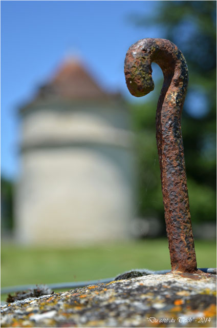 BLOG-DSC_28533-parc château de la Brède