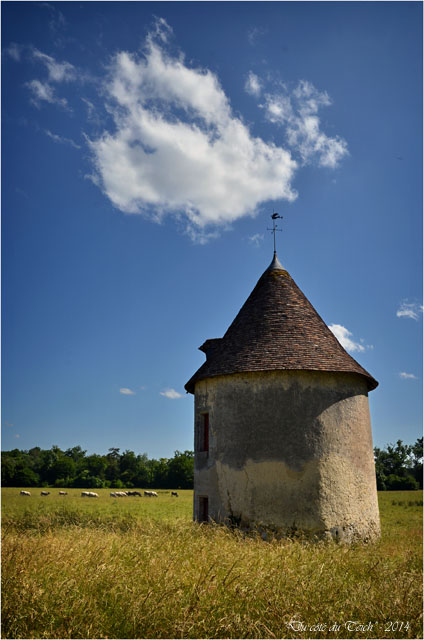 BLOG-DSC_28648-domaine château la Brède