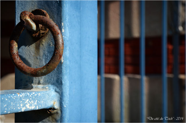 BLOG-DSC_28728-anneau grille parc mauresque