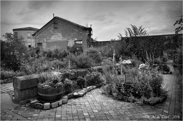 BLOG-DSC_28937-jardin des foudres Belcier des bains-douches N&B2