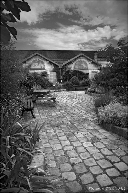 BLOG-DSC_28938-jardin des foudres Belcier des bains-douches N&B