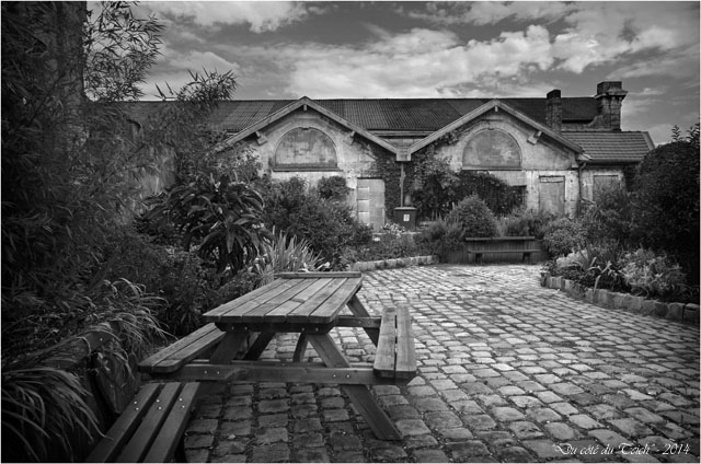 BLOG-DSC_28940-jardin des foudres Belcier des bains-douches N&B2