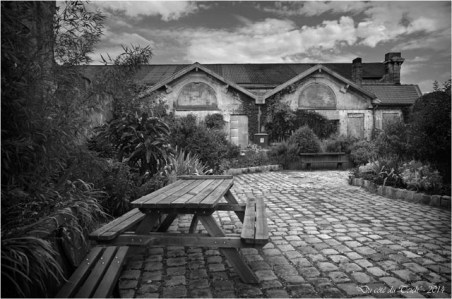 BLOG-DSC_28940-jardin des foudres Belcier des bains-douches N&B2