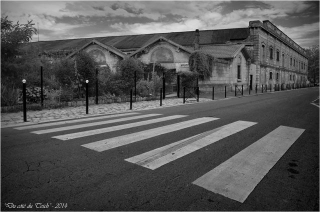 BLOG-DSC_28950-jardin des Foudres - Belcier des bains-douches N&B