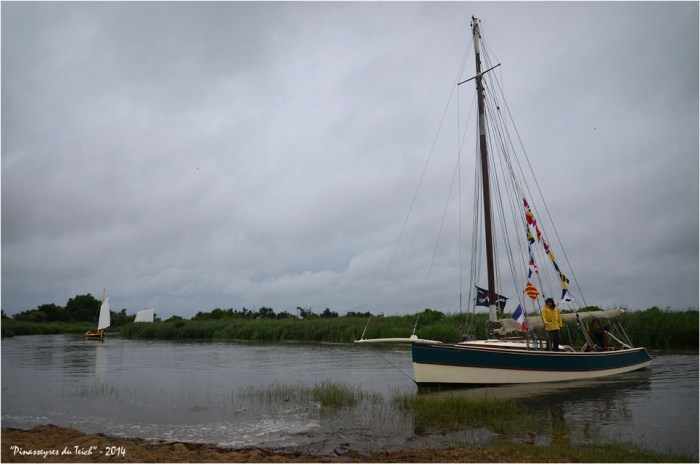 BLOG ASSO-DSC_29352-régate des maires 2014 Leyre le Teich