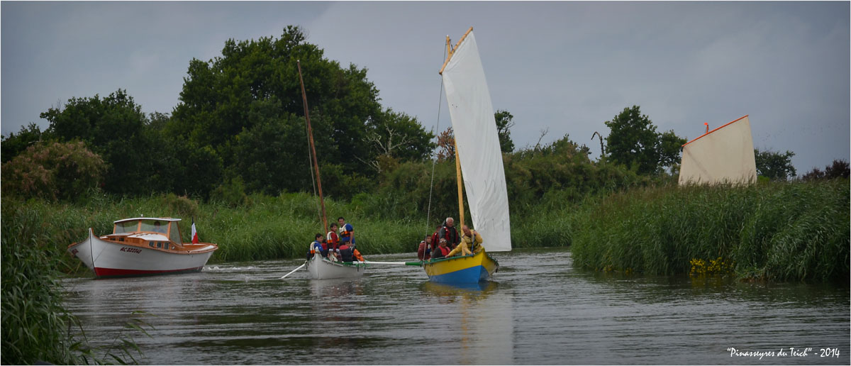 BLOG ASSO-DSC_29355-retour régate des maires 2014 BLOG ASSO-DSC_29355-retour régate des maires 2014