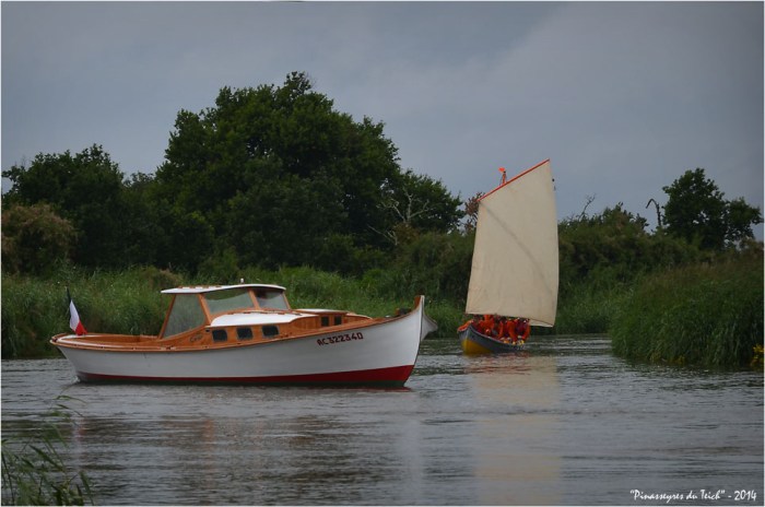 BLOG ASSO-DSC_29358-Vamp et la Teychine retour régate des maires 2014 Leyre le Teich