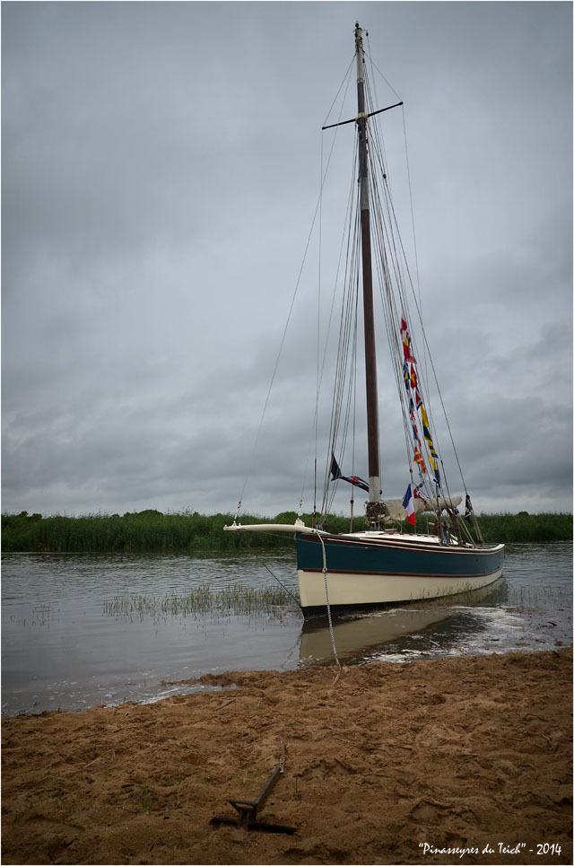 BLOG ASSO-DSC_29388-régate des maires 2014 Leyre le Teich
