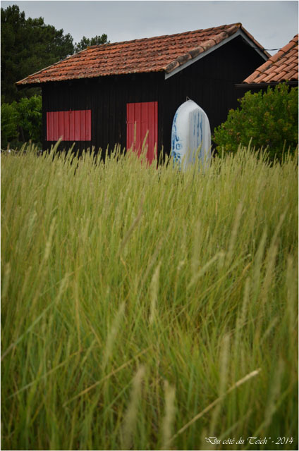 BLOG-DSC_28999-herbes folles et cabane Lapin Blanc