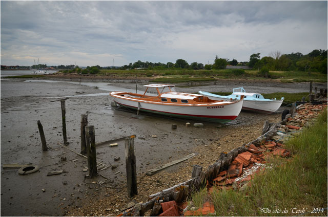 BLOG-DSC_29004-pinasses Lapin Blanc