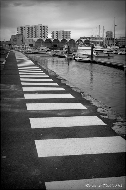 BLOG-DSC_29030-zébras port Arcachon N&B