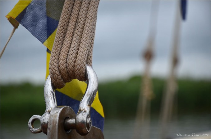 BLOG-DSC_29386-manille l'Escalumade retour régate des maires 2014 le Teich