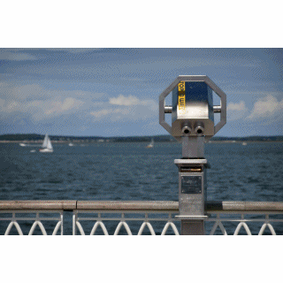 anigif navette Arcachon-le Canon régate de l'Herbe et retour