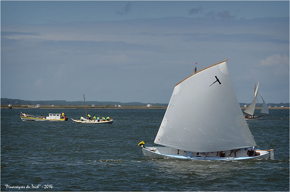 BLOG ASSO-DSC_29882-Bleu de mer régate fêtes de la mer Arcachon 2014