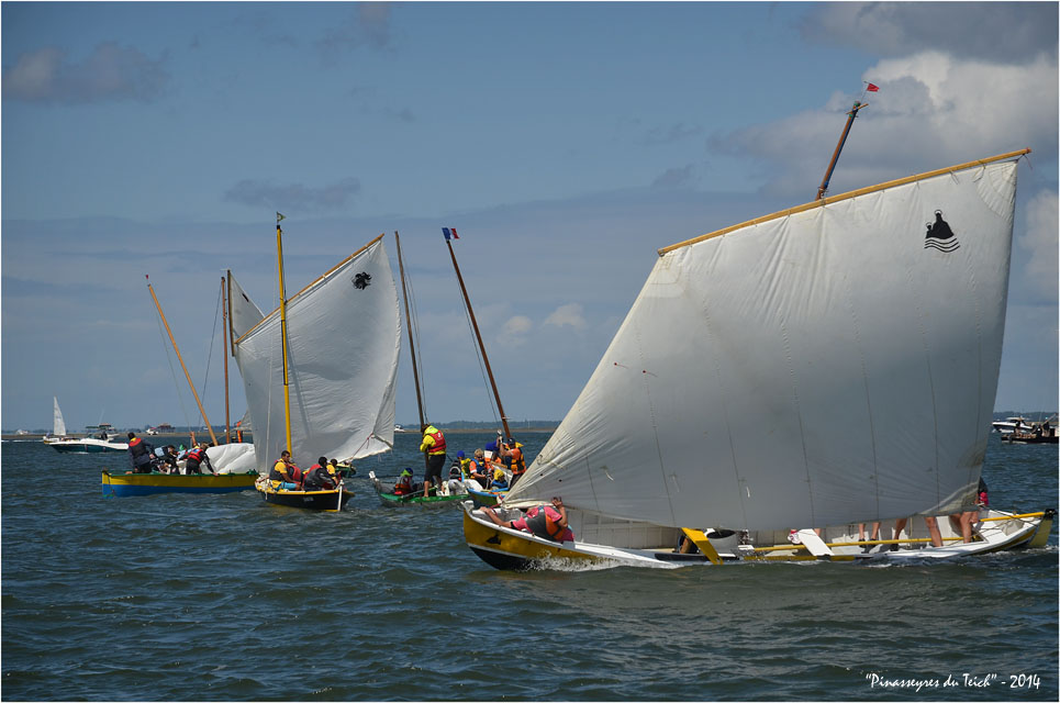 BLOG ASSO-DSC_29890-régate fêtes de la mer Arcachon 2014