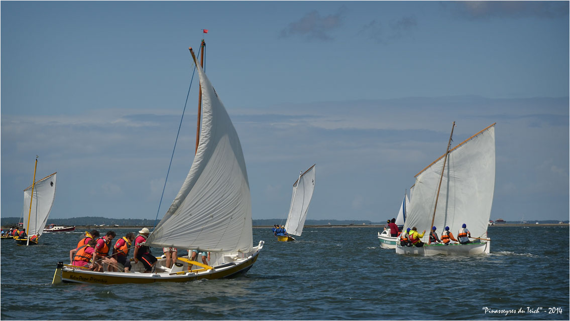 BLOG ASSO-DSC_29900-régate fêtes de la mer Arcachon 2014