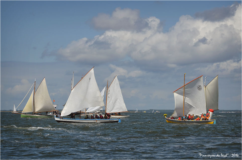 BLOG ASSO-DSC_29906-la Teychine régate fêtes de la mer Arcachon 2014