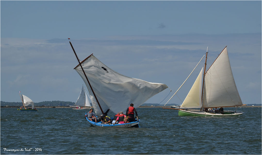 BLOG ASSO-DSC_29913-régate fêtes de la mer Arcachon 2014