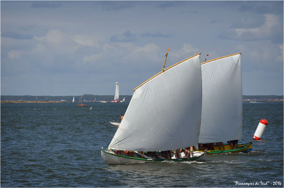 BLOG ASSO-DSC_29948-régate fêtes de la mer Arcachon 2014