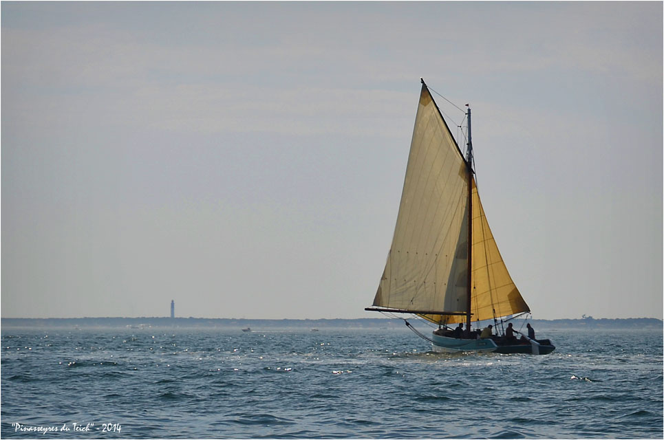 BLOG ASSO-DSC_30412-régate île aux oiseaux 2014