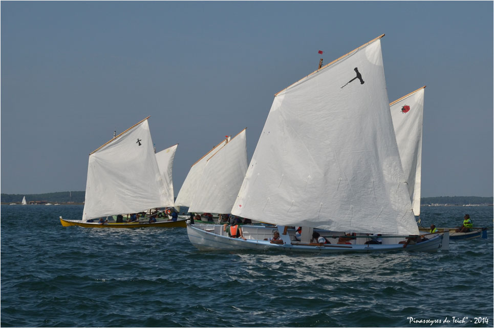 BLOG ASSO-DSC_30420-régate île aux oiseaux 2014