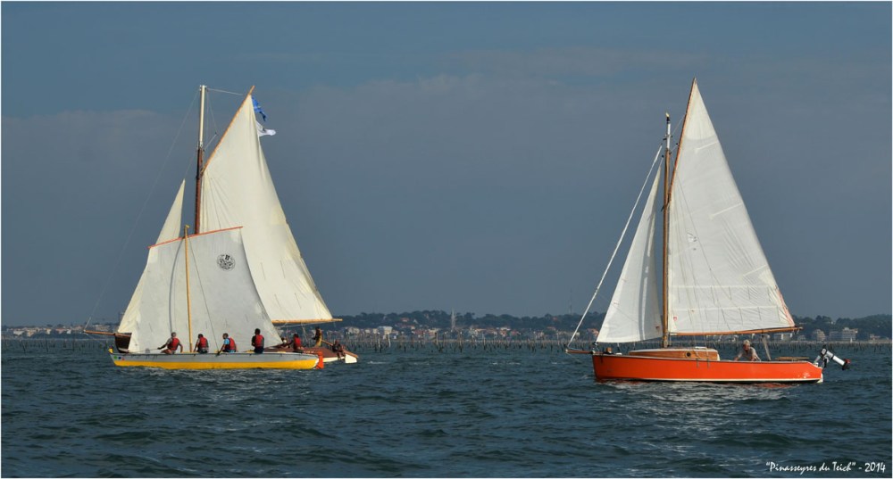 BLOG ASSO-DSC_30580-Julie-Marie Teychine et Escalumade régate île aux oiseaux 2014