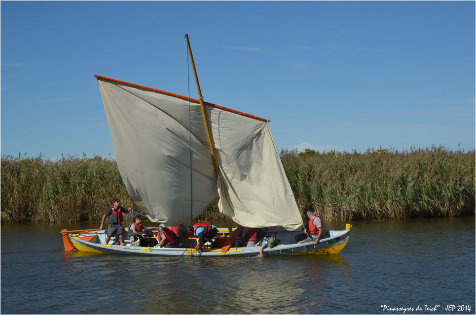 BLOG ASSO-DSC_30932-la Teychine sur la Leyre JEP 2014