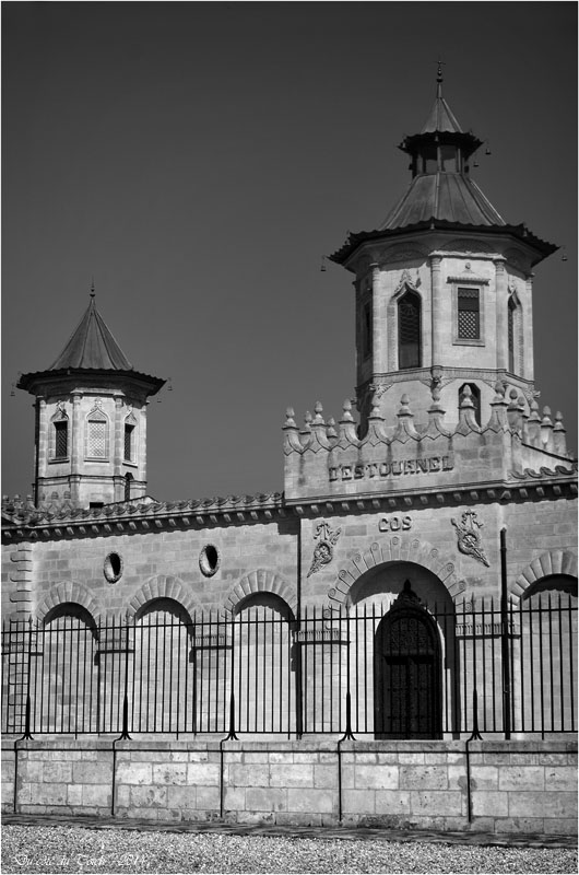 BLOG-DSC_30720-château Cos d'Estournel N&B