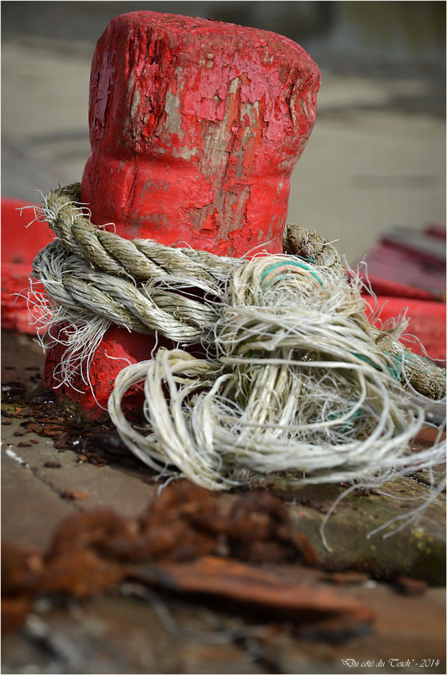 BLOG-DSC_31455-TIFIPA2