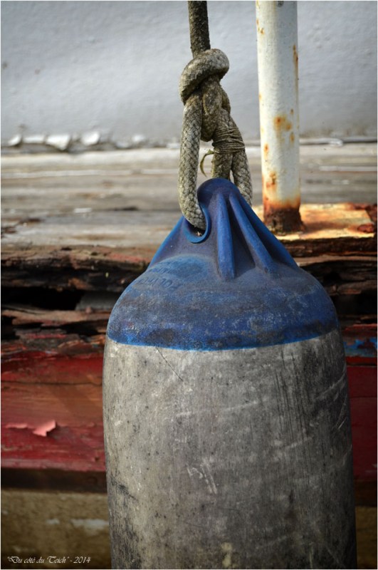 BLOG-DSC_31458-TIFIPA2