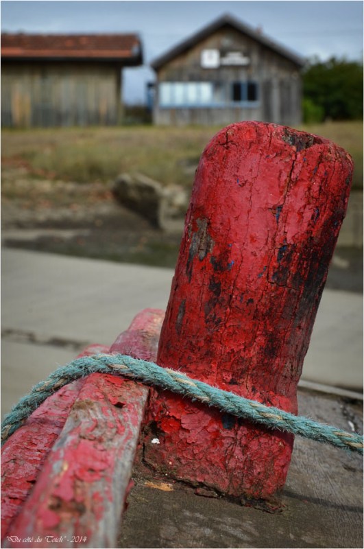 BLOG-DSC_31465-TIFIPA2 et cabane