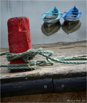 BLOG-DSC_31467-TIFIPA2 la Fringante et la Testerine