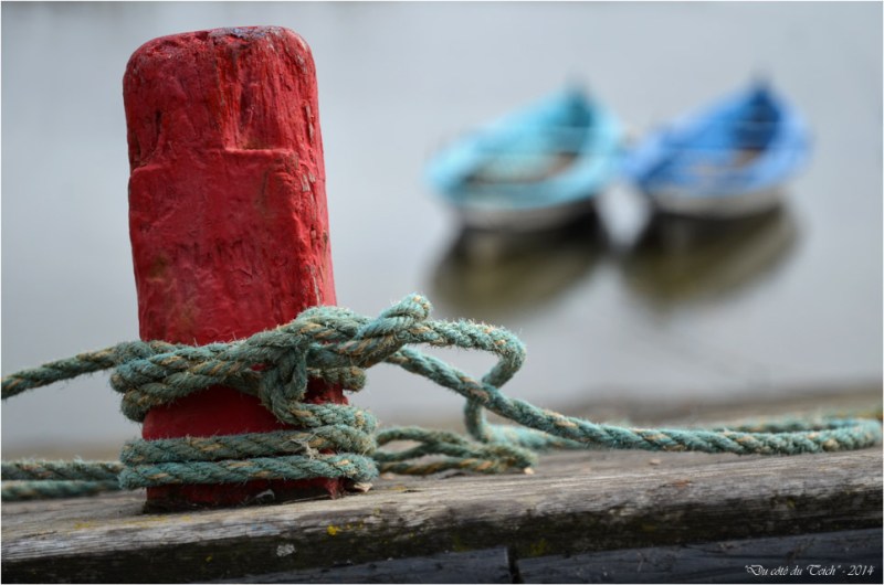 BLOG-DSC_31470-TIFIPA2 la Fringante et la Testerine