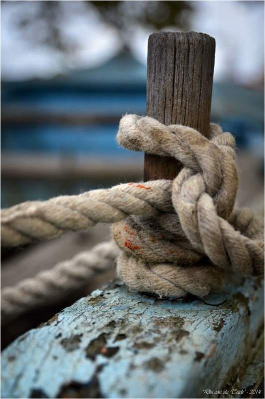 BLOG-DSC_31495-Nelly Godquin