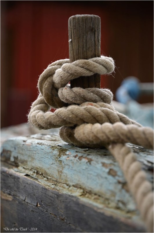 BLOG-DSC_31500-Nelly Godquin