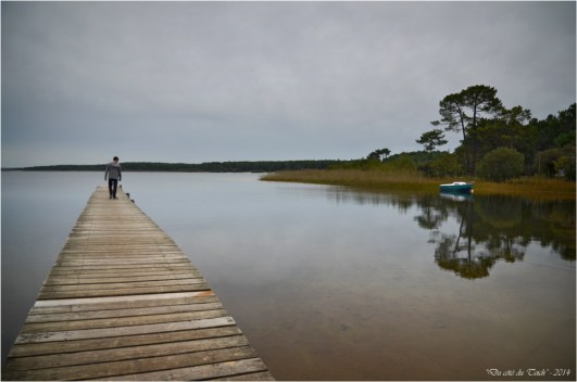 BLOG-DSC_31536-matin d'automne ponton Sanguinet