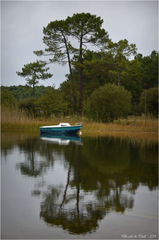 BLOG-DSC_31537-bateau bleu matin d'automne Sanguinet
