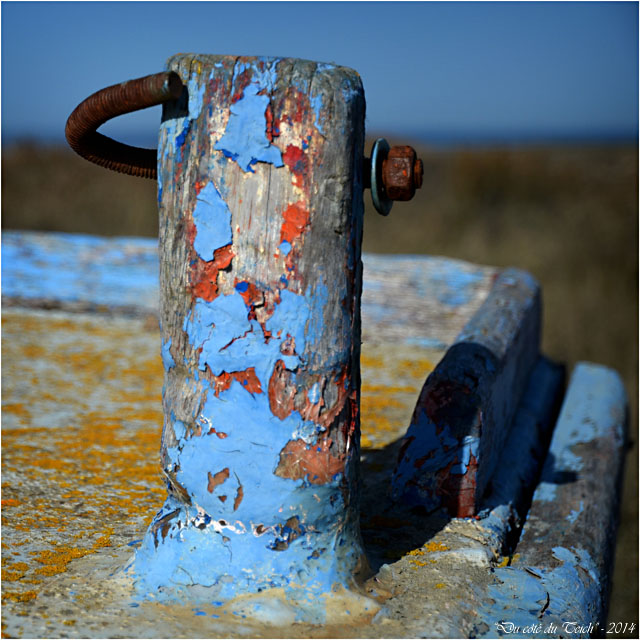 BLOG-DSC_31650-épave vieille plate-2