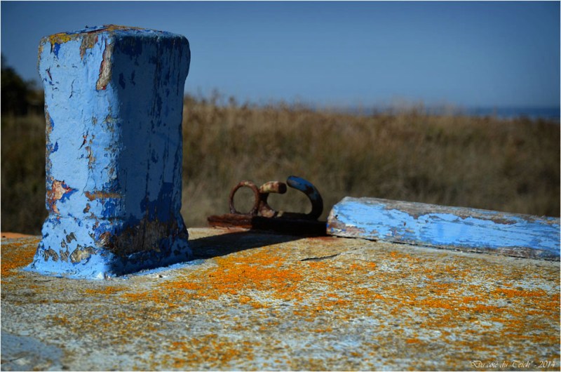 BLOG-DSC_31651-épave vieille plate