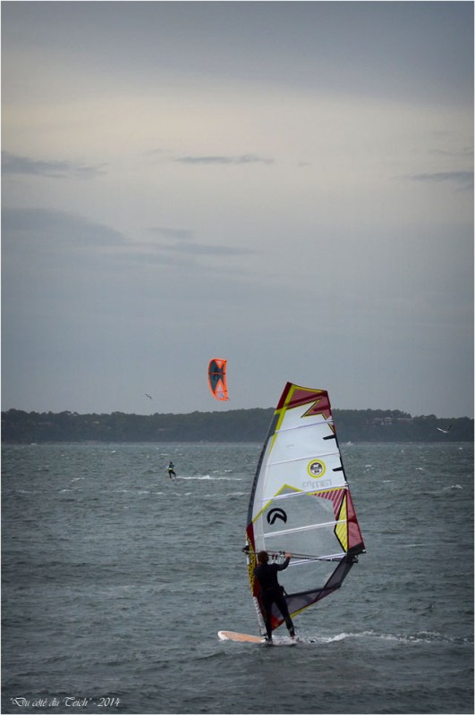 BLOG-DSC_31762-véliplanchiste et kitesurfer plage Arbousiers