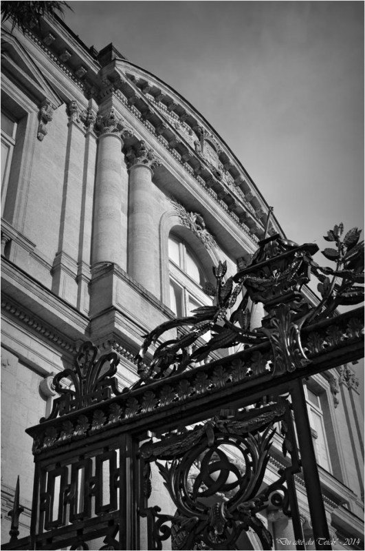 BLOG-DSC_31811-grille musée des beaux arts et jardins mairie Bordeaux N&B